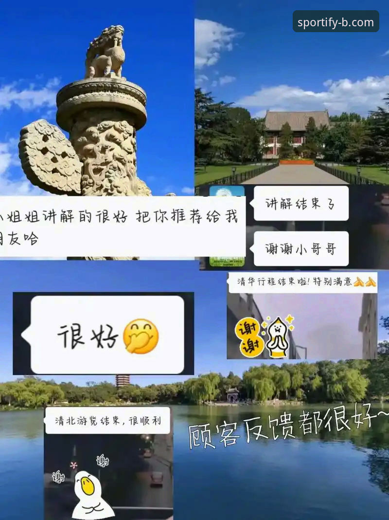 B体育官方下载 资深用户分享B体育官方下载实战经验:从官网入口到高效使用的完整心得